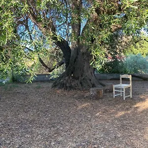 Casa Olea Sorso